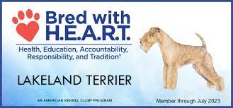 Angel Heart Kennel LLC