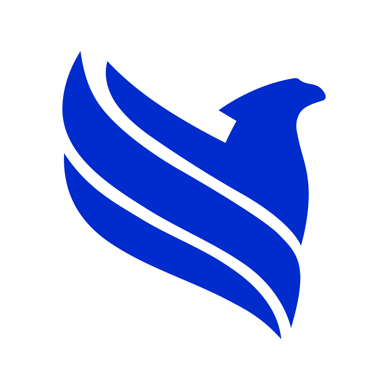 FBSPL- Fusion Business Solution P Limited