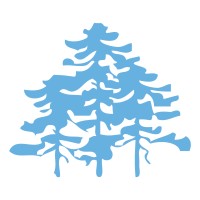 ACM Designs