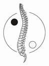 A&M Chiropractic Llc