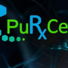 PuRxCell LLC